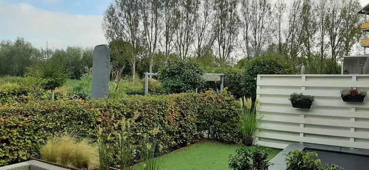 Foto 13 van Trelleborg 16