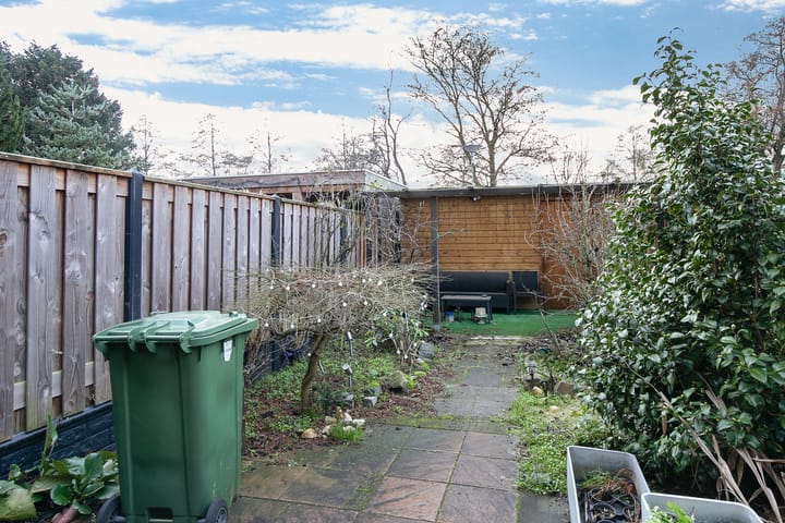 Foto 4 van Bolkruid 39