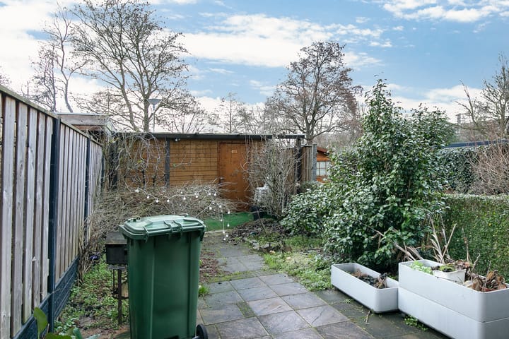 Foto 20 van Bolkruid 39