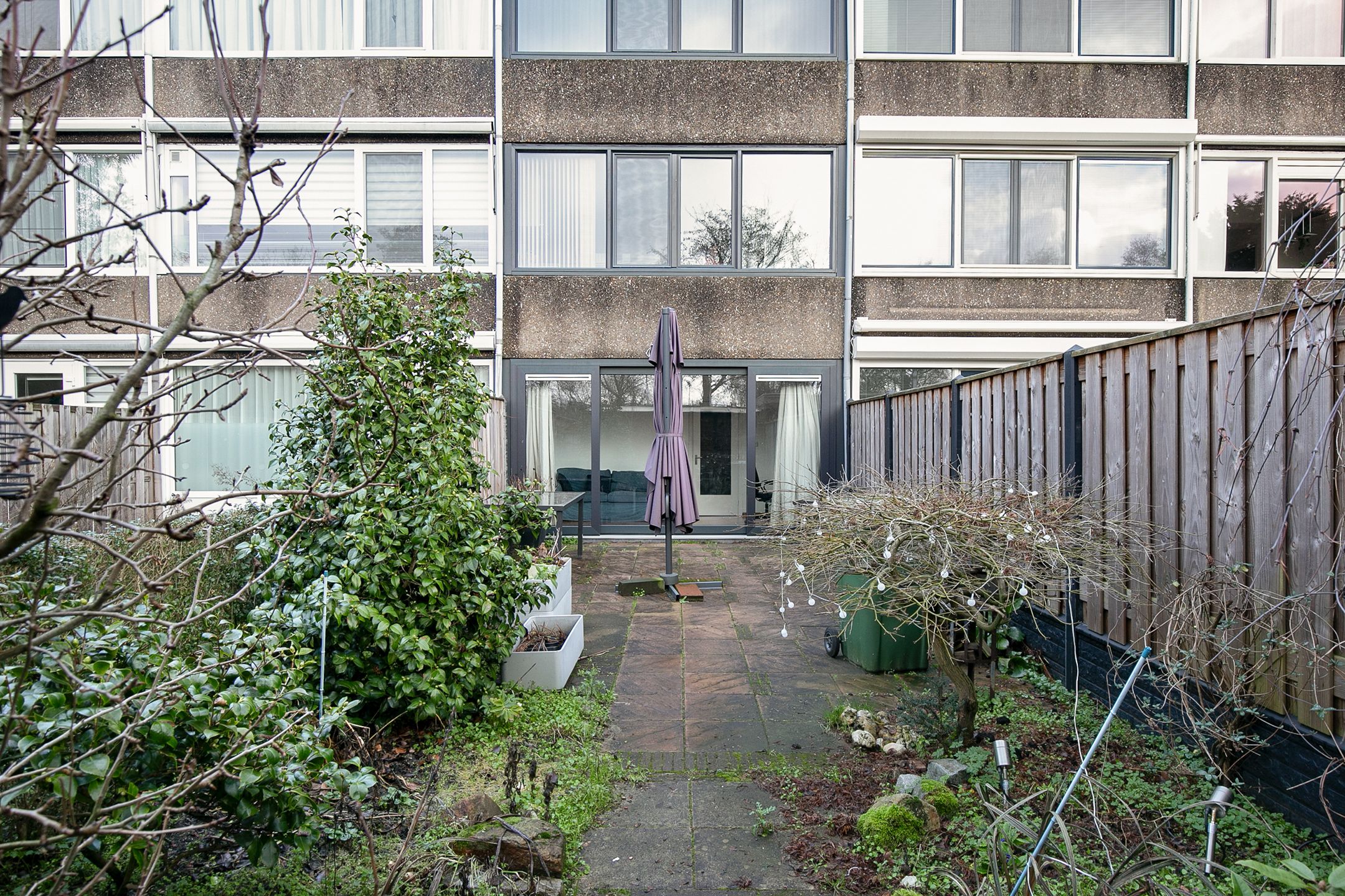 Foto 21 van Bolkruid 39