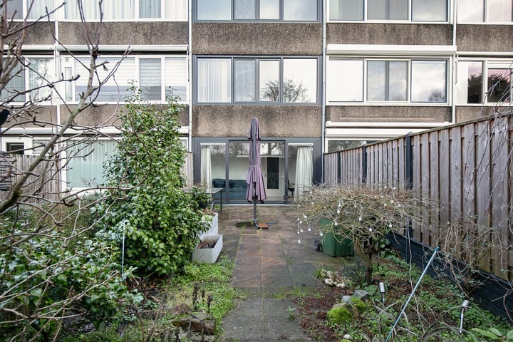 Foto 21 van Bolkruid 39