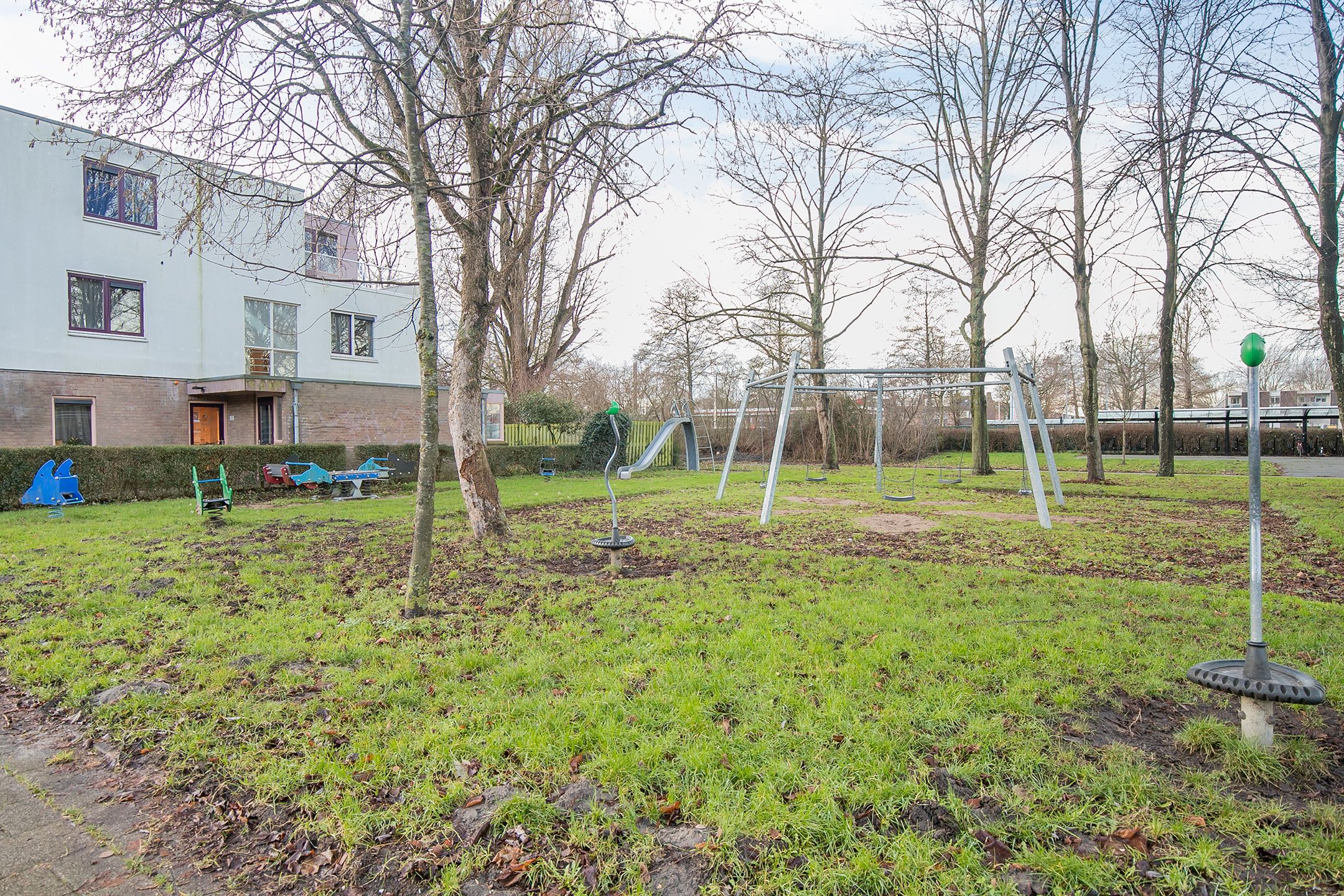 Foto 27 van Bolkruid 39