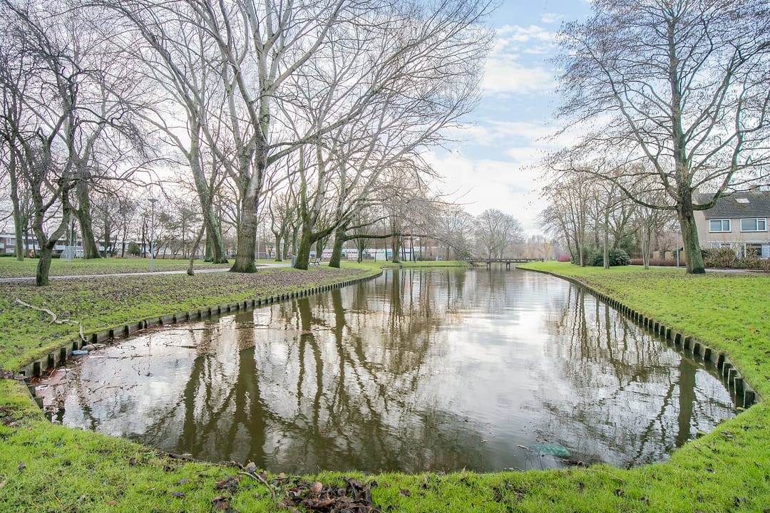 Foto 28 van Bolkruid 39