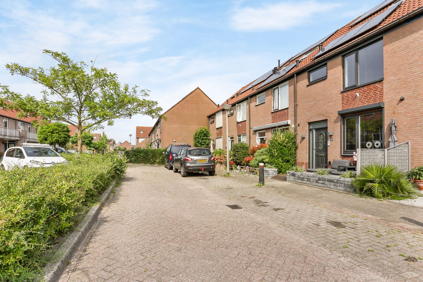 Foto 35 van de Populier 19