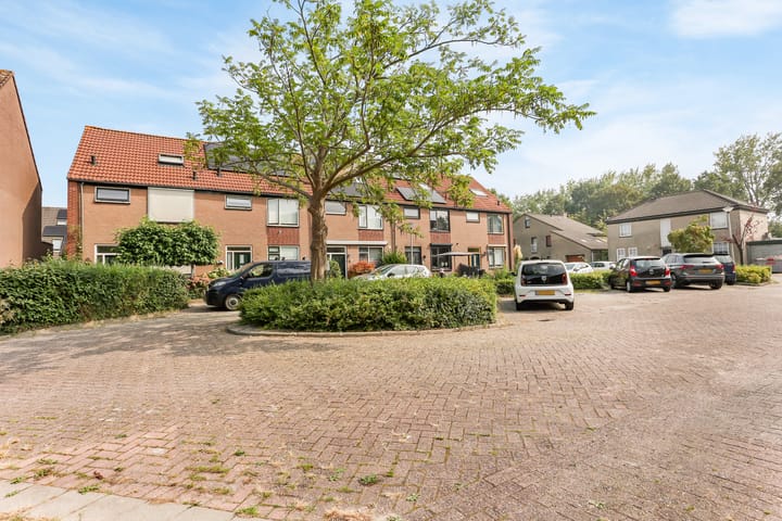 Foto 36 van de Populier 19