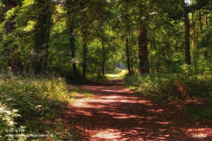 View photo 33 of Malakkastraat 137