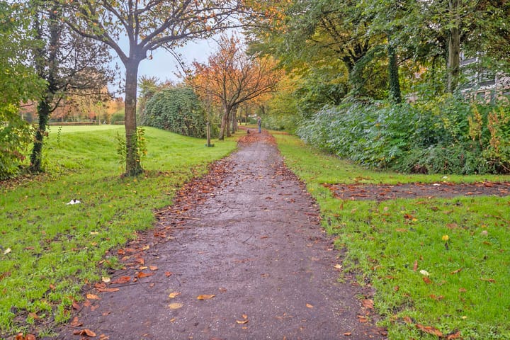 Foto 25 van Benny Goodmanstraat 26