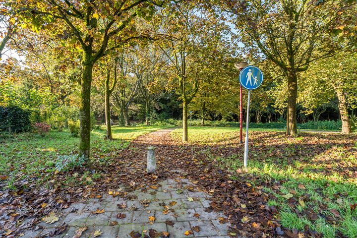 Bekijk foto 3 van Steenarend 103