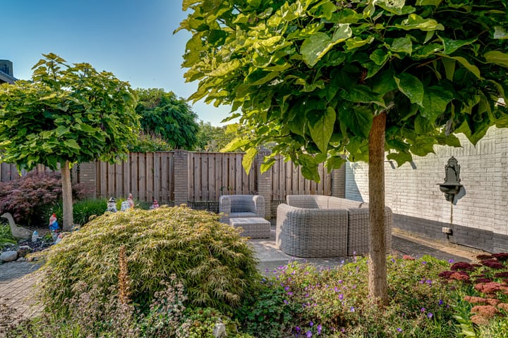 Foto 46 van Thorbeckestraat 6