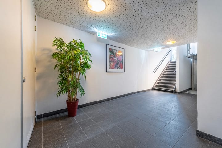 Foto 21 van Montaubanstraat 149