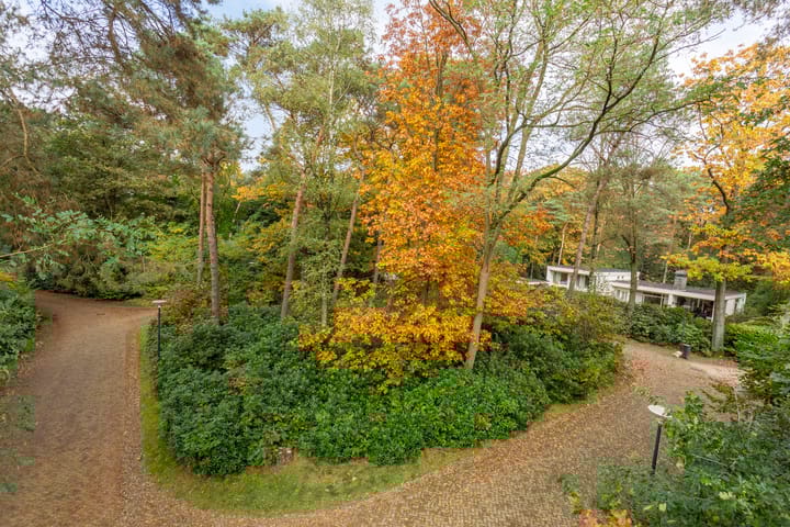 Foto 56 van Eikendreef 12