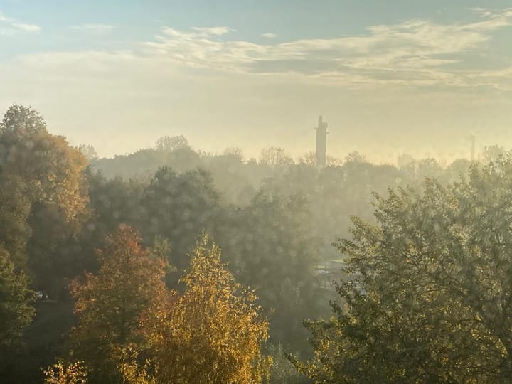 Foto 29 van Via Verdi 37