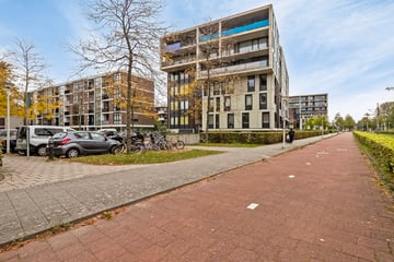 Burgemeester Röellstraat thumbnail