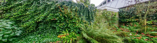 Bekijk 360° foto van Tuin van Gijsbrecht van Aemstelstraat 11