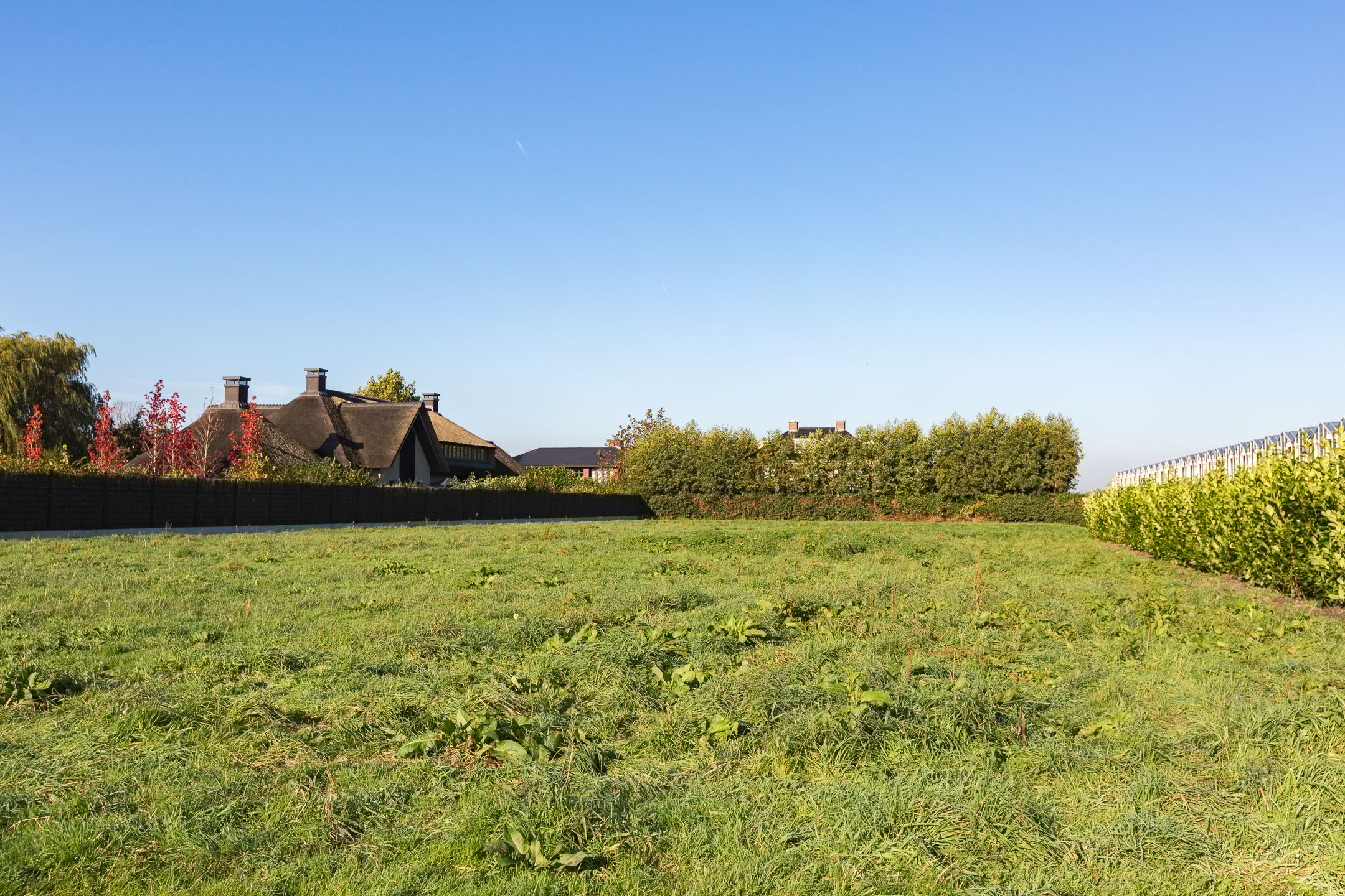 Olijfhof, Bergschenhoek, 2661SZ, Zuid-Holland, Nederland  