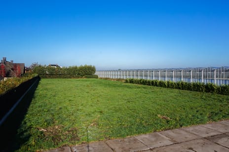 Olijfhof tertiary image