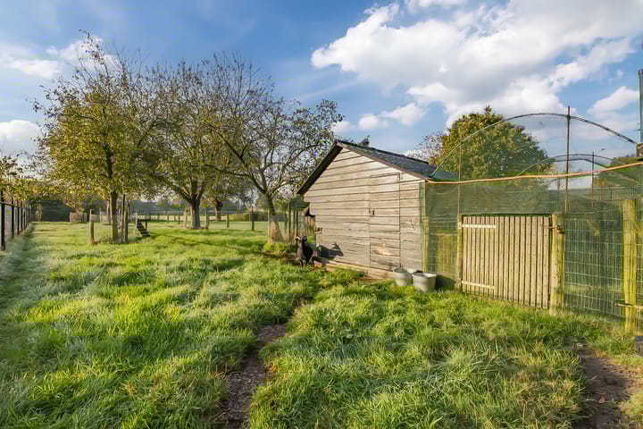 Foto 37 van Burgemeester Wientjensstraat 20