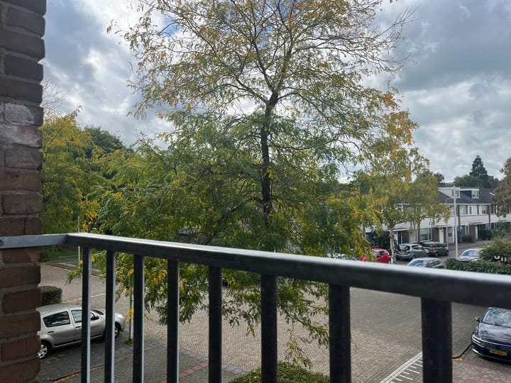 Foto 16 van Charlotte de Bourbonstraat 34