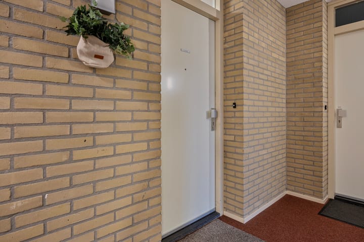 Foto 11 van Het Spectrum 50