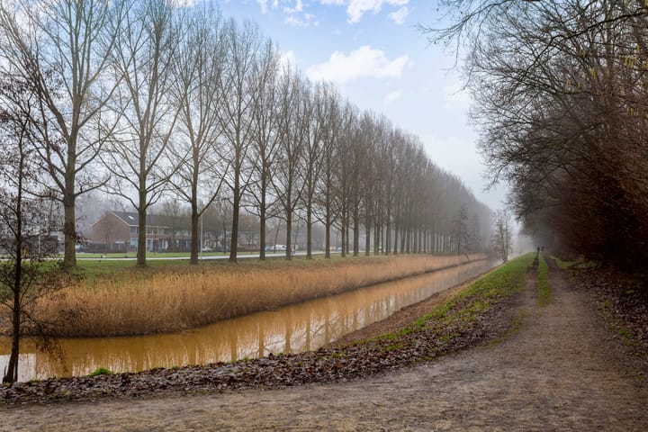 Foto 36 van Het Spectrum 50