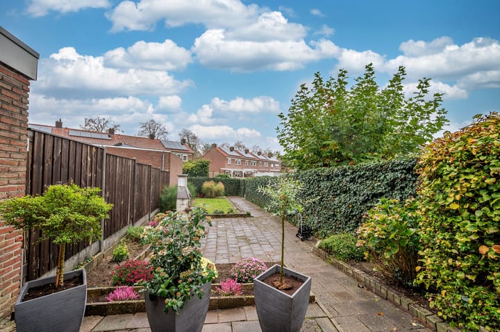 Foto 3 van Stalpaert van der Wielestraat 3