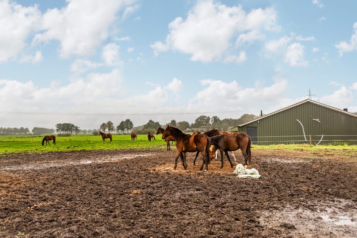 Foto 24 van Nijverdalseweg 54