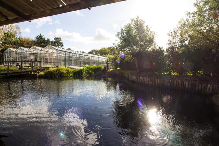 Foto 66 van Dorpsstraat 126