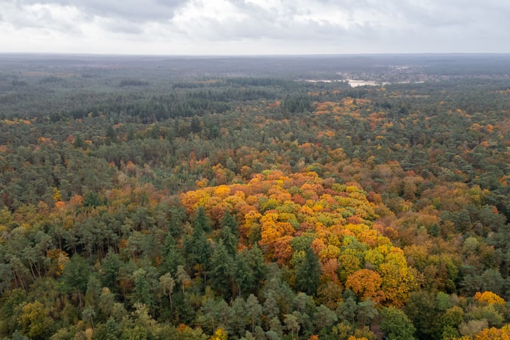 Bekijk foto 45 van Schotweg 43