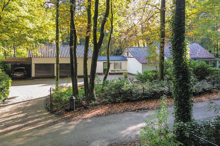 Brandrijsweg 6