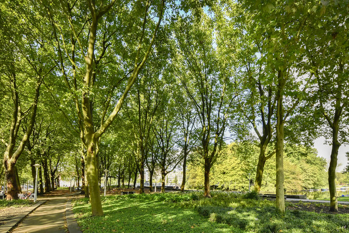 Bekijk foto 17 van Theophile de Bockstraat 45-H