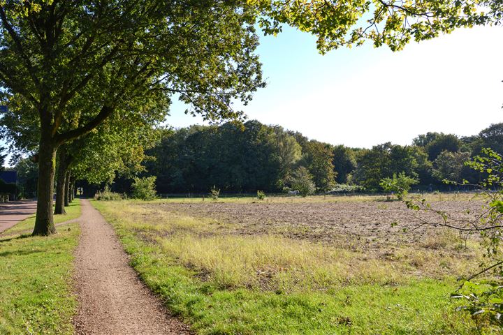 Bekijk foto 21 van Van Hogendorplaan 46