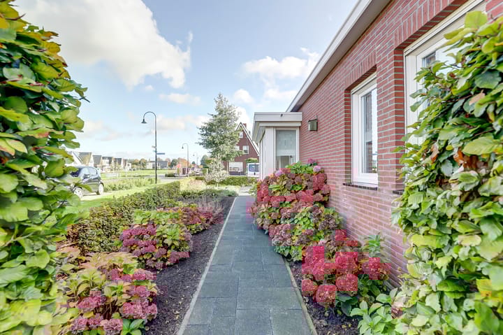 Foto 43 van Jip en Janneke 2