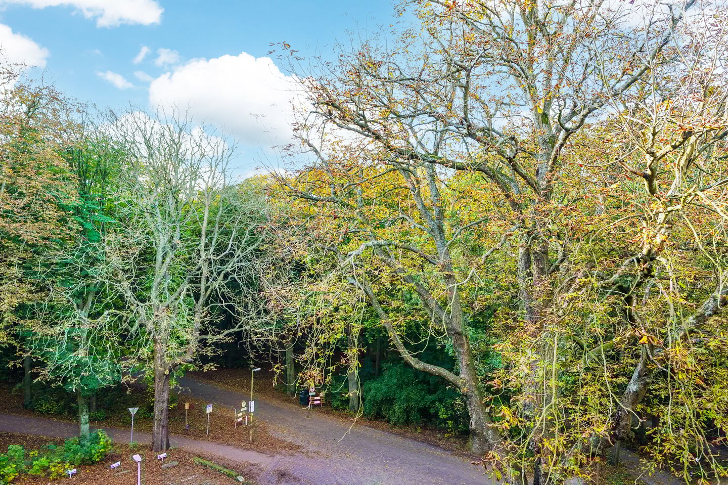 Foto 5 van Leidsestraatweg 15-421