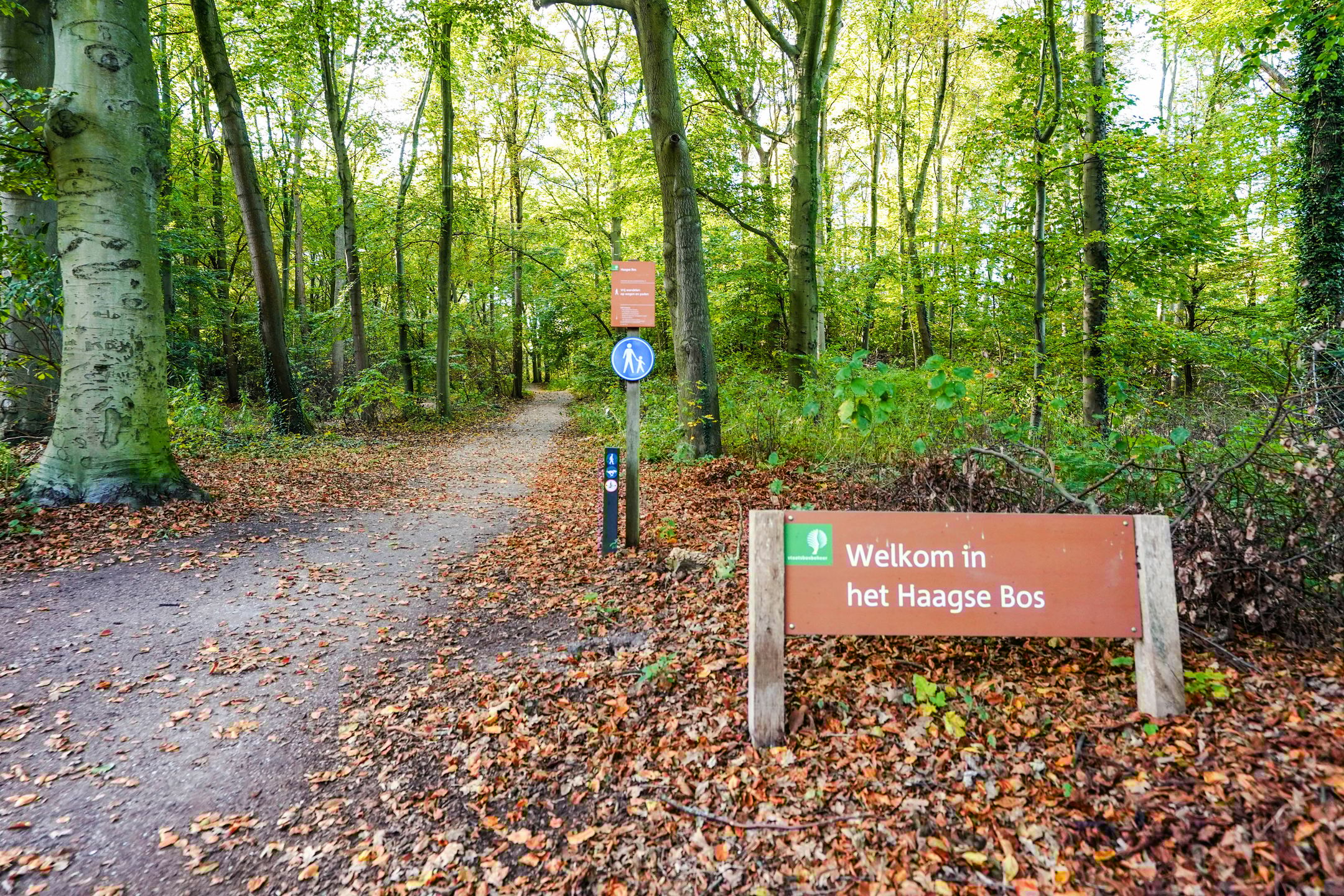 Foto 57 van Leidsestraatweg 15-421