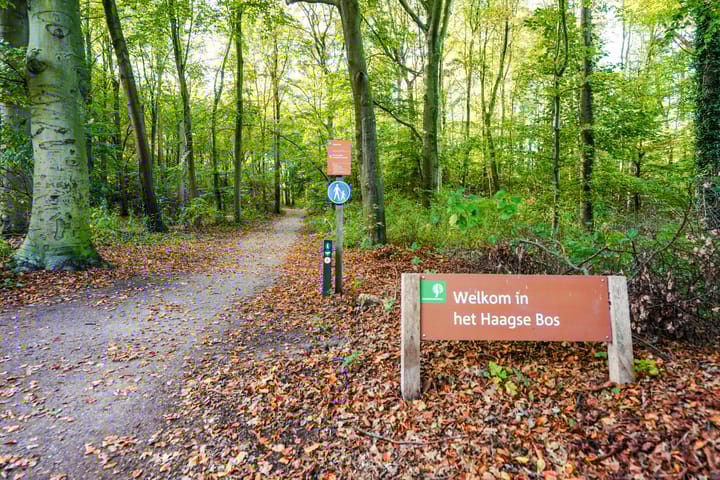 Foto 57 van Leidsestraatweg 15-421