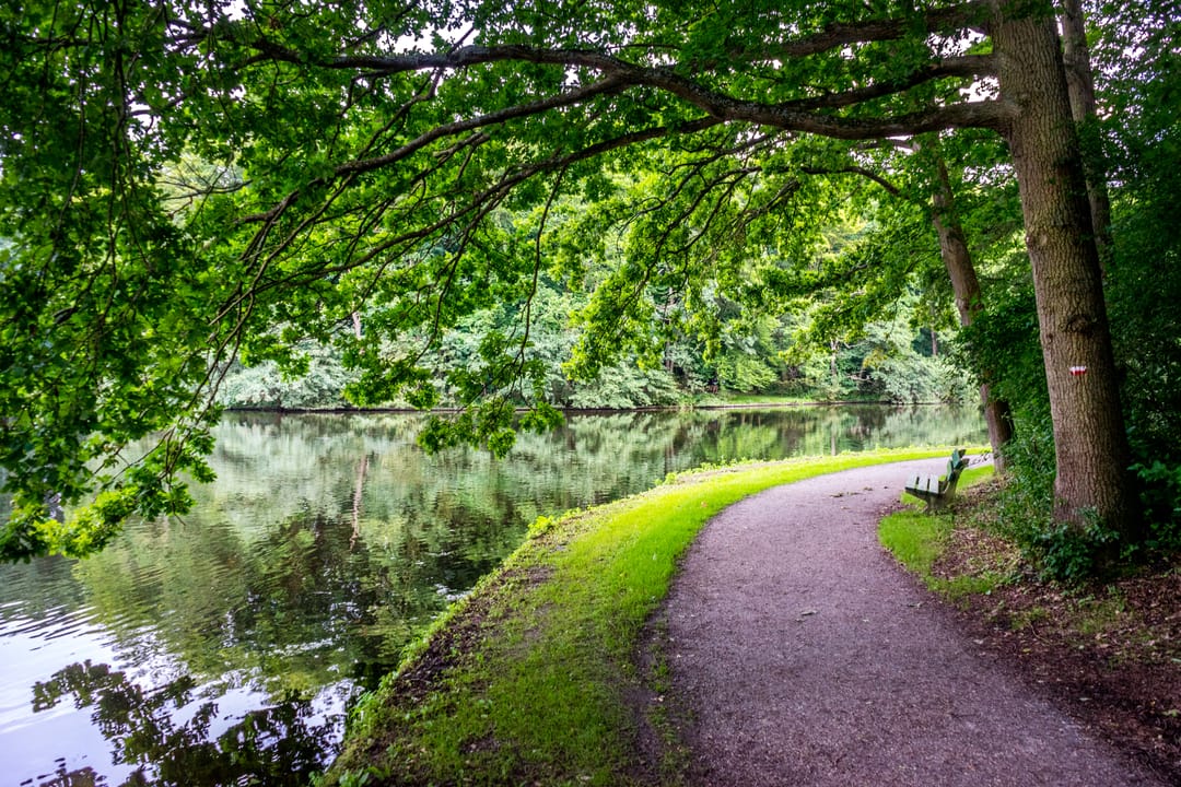 Foto 58 van Leidsestraatweg 15-421