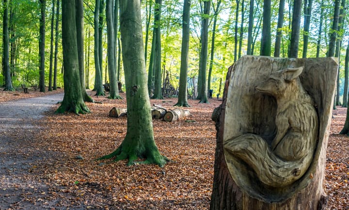 Foto 63 van Leidsestraatweg 15-421