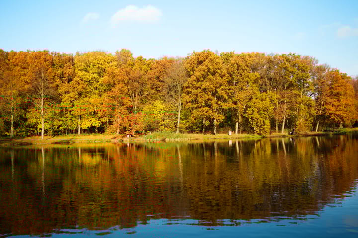 Foto 64 van Leidsestraatweg 15-421