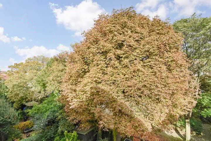 Foto 19 van Jacob van der Doesstraat 21