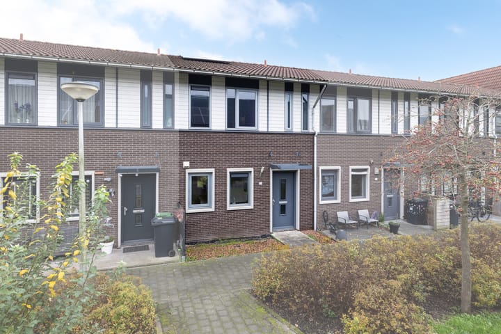 undefined main image