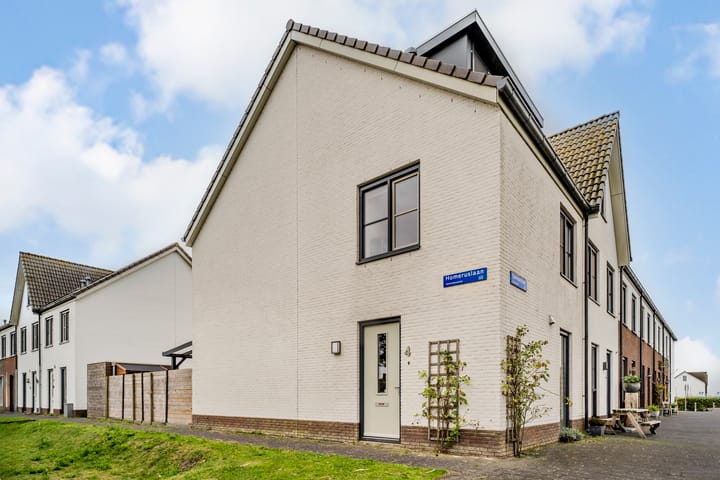 Foto 8 van Homeruslaan 4