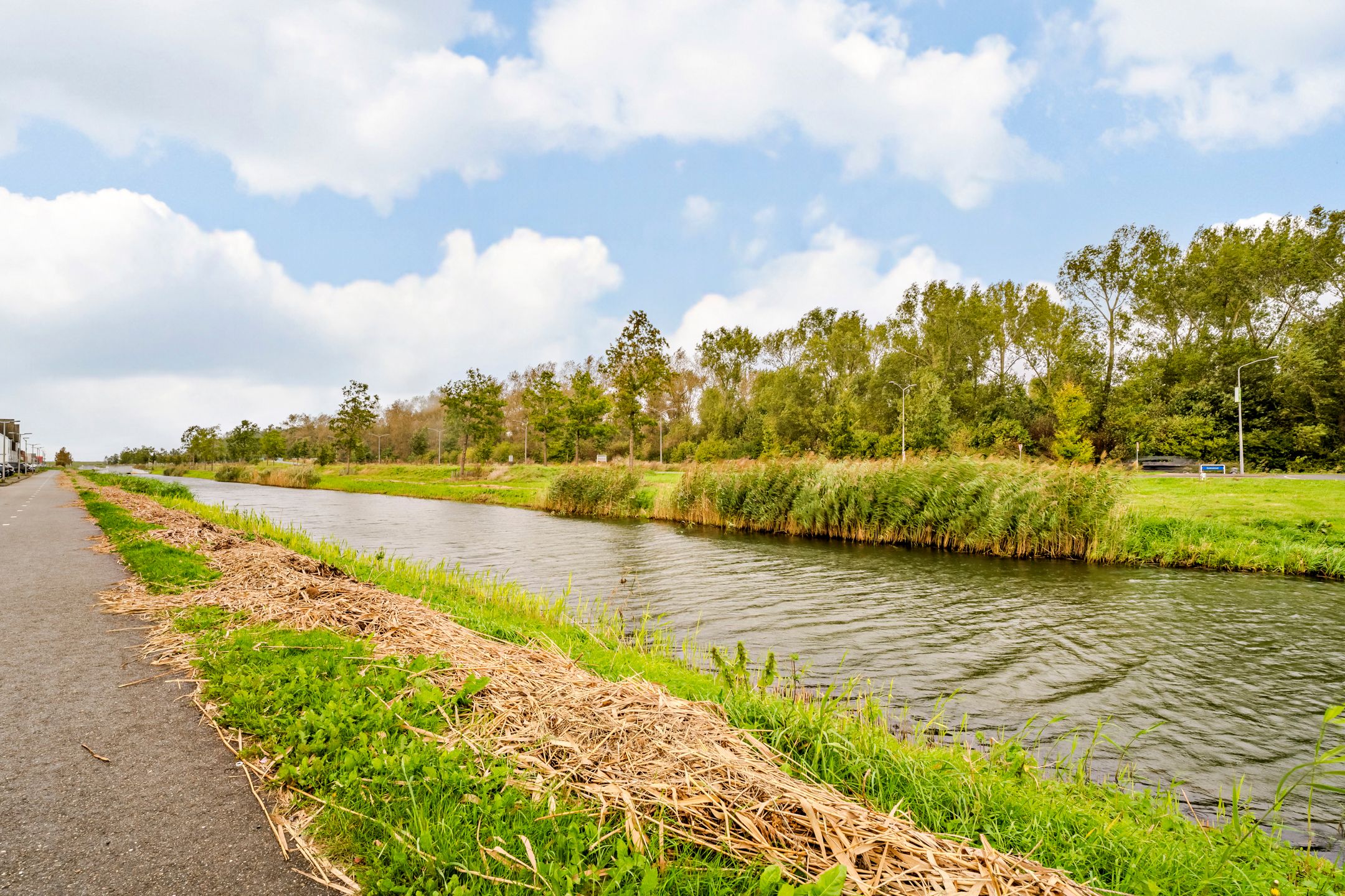 Foto 42 van Homeruslaan 4