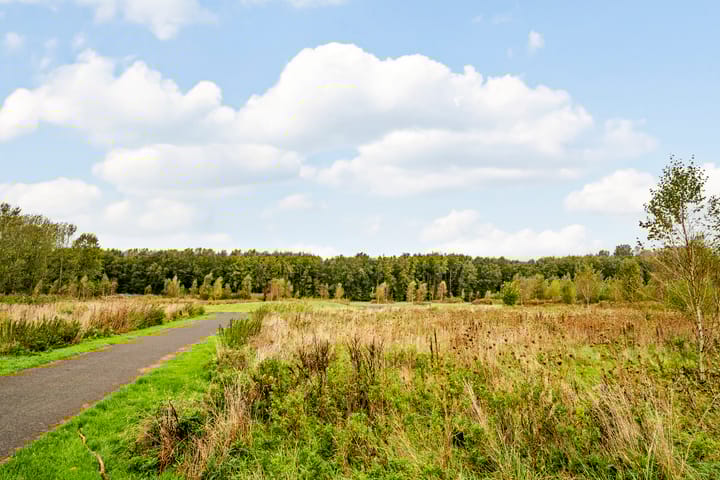 Foto 44 van Homeruslaan 4