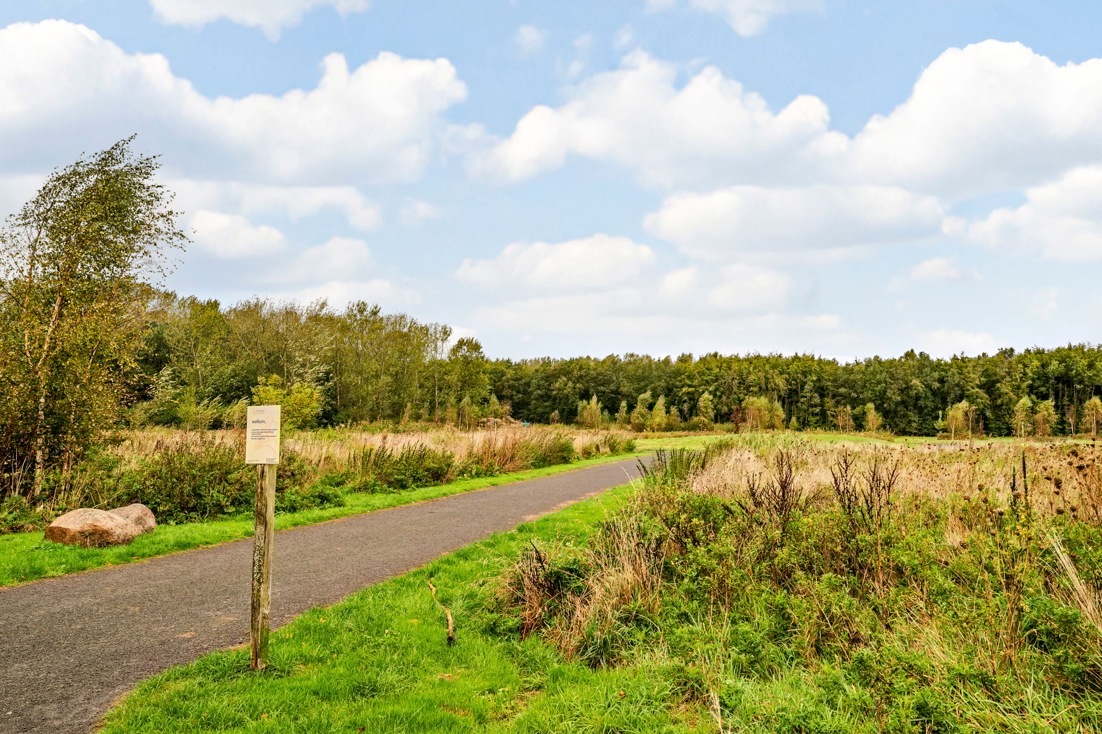 Foto 45 van Homeruslaan 4