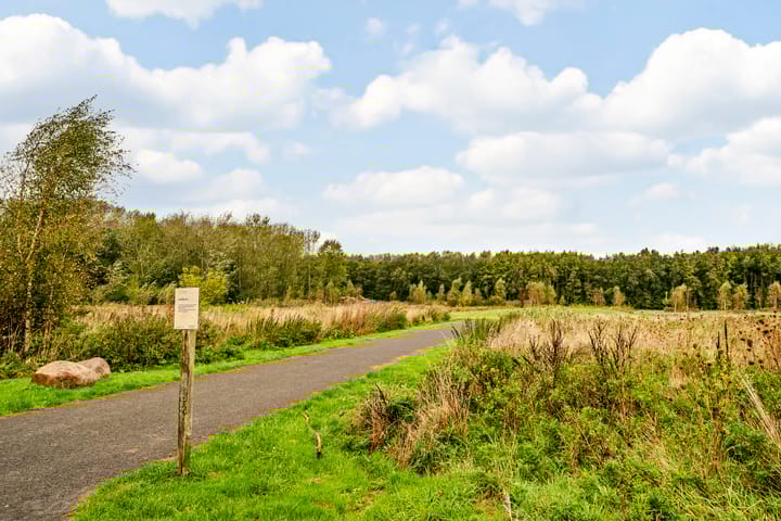 Foto 45 van Homeruslaan 4