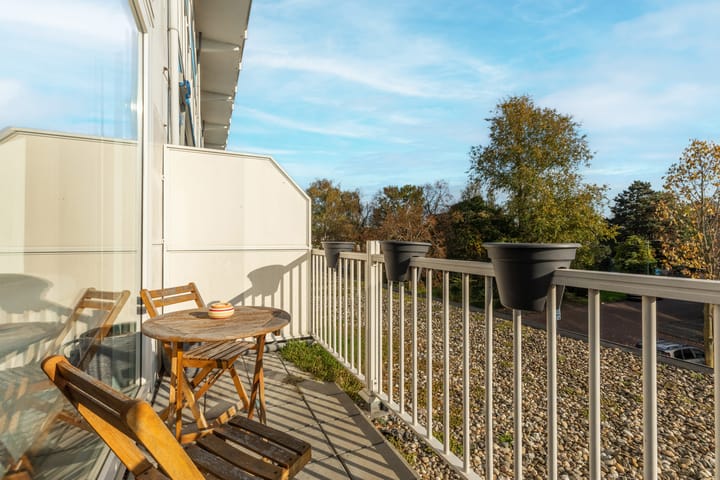 Foto 34 van Pieter Calandlaan 251