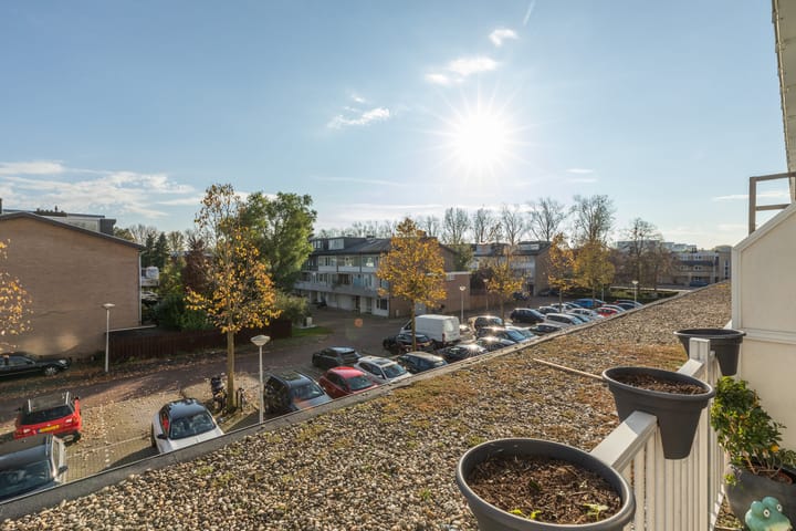 Foto 35 van Pieter Calandlaan 251