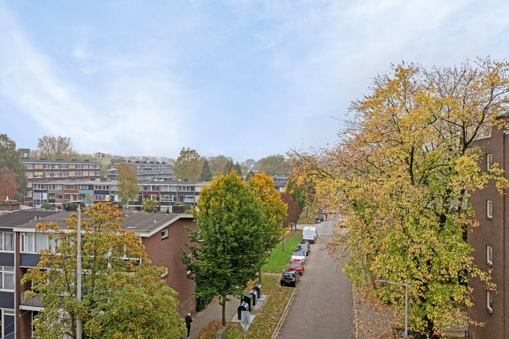 Bekijk foto 3 van Hanzestraat 186