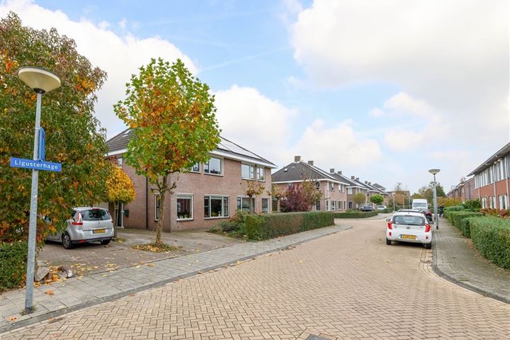 Bekijk foto 39 van Ligusterhage 18