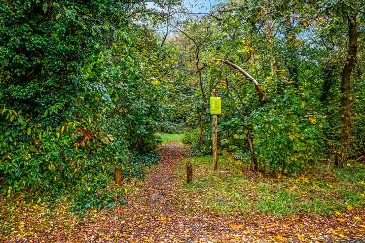 Foto 48 van Regentesselaan 30